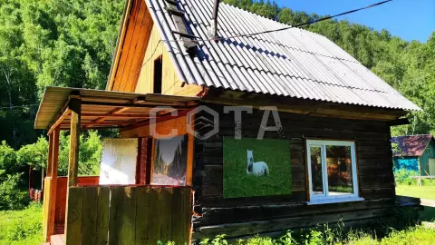Осенняя экспедиция - фото 4