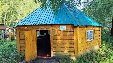Девять дней на Алтае - фото 4