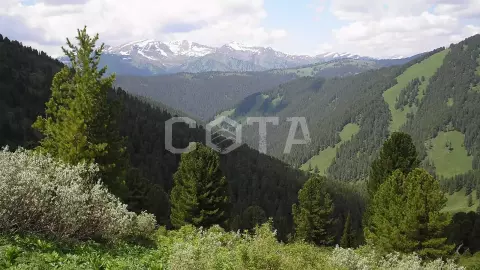 Высокогорные озера Алтая - фото 5