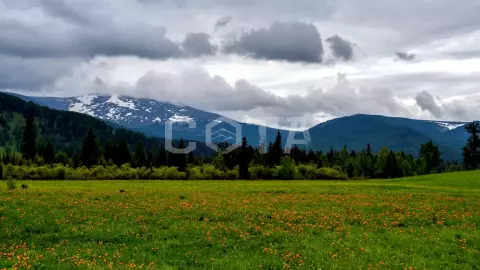 Большое путешествие по Алтаю - фото 2