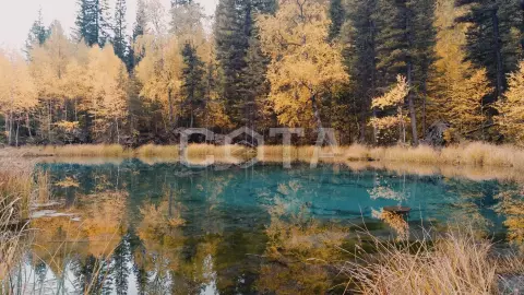 Путешествие Мечта, Красавица и Сказка - фото 4