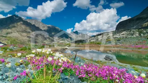 Джип-тур по Чуйскому тракту: Жара на Алтае - фото 5