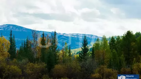 Джип-тур по Чуйскому тракту: Звезды в горах - фото 4