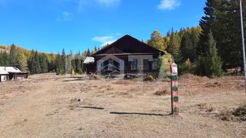 Алтай не для всех - фото 4