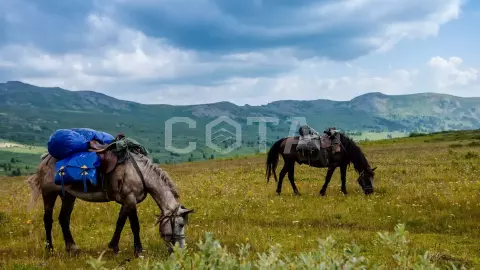Конный тур к цепочке из семи Каракольских озер - фото 1