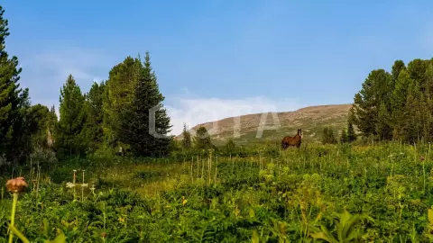 Конный тур к цепочке из семи Каракольских озер (эконом) - фото 3
