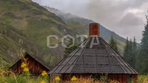 Конный тур к подножию легендарной горы Белуха (эконом) - фото 4