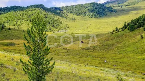 Конный тур к подножию легендарной горы Белуха - фото 4