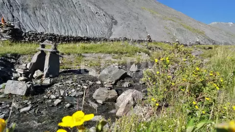 Пеший поход к Белухе с вьючными лошадьми - фото 3