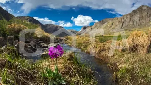 Джип-тур К вершинам Алтая (8 дней) - фото 2