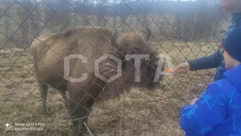 Тур по Чуйскому тракту - фото 4