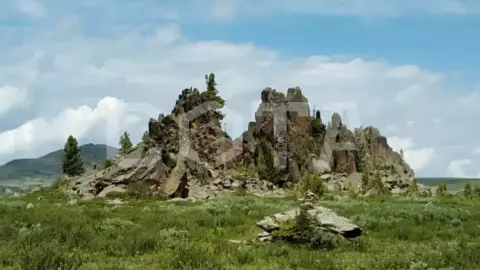 Загадочный мир Алтая. Знакомство. - фото 3