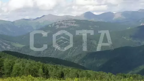 Алтай – место силы (Зима), 6 дней - фото 4