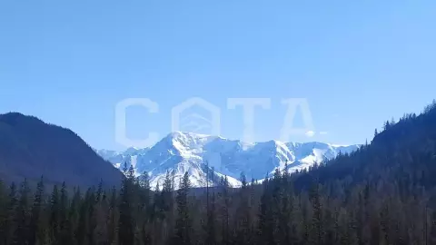 Алтай – место силы (Зима), 11 дней - фото 2