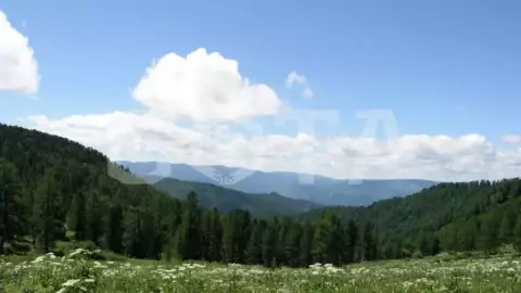 Горный жемчуг - фото 5