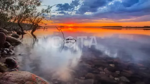 Ладожский берег. Пеший поход с палатками из Санкт-Петербурга - фото 4