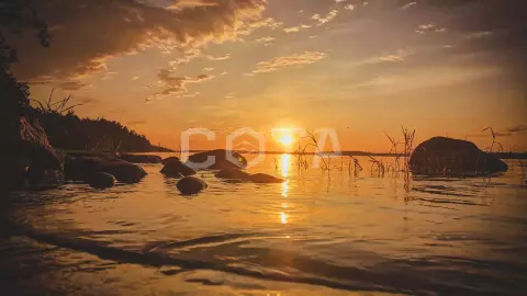 Ладожский берег. Пеший поход с палатками из Санкт-Петербурга - фото 2